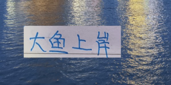 后面中超大鱼！北京国安可能有德甲中后卫 大连英博有意甲中场